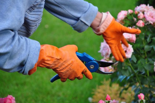 Eco-friendly lawn mowing techniques in Lambeth