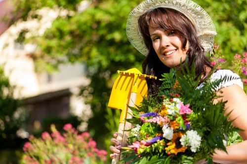Professional lawn mower service in Lambeth