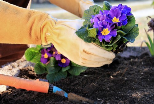 Essential lawn mowing tools and equipment